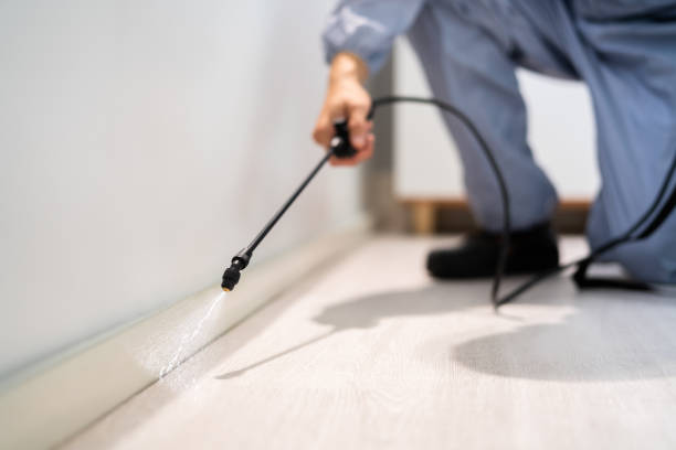 Licensed Ant Control service in Hampton, VA - Show Me Pest Control