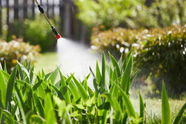 24/7 Emergency Ant Control experts in Hampton, VA