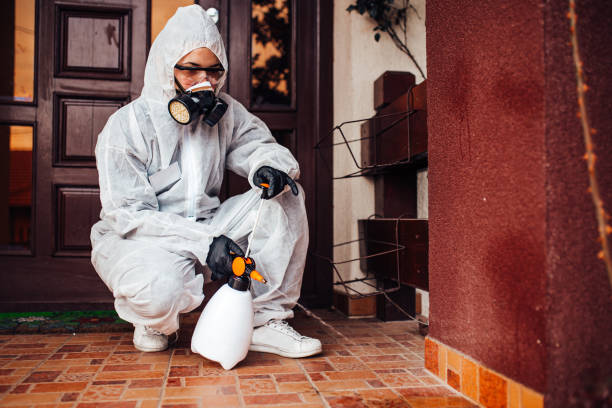 Reliable Ant Control contractor in Hampton, VA by Show Me Pest Control
